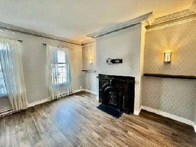 Spacious 1 Bedroom Apt - Heat, Electricity, Light Included