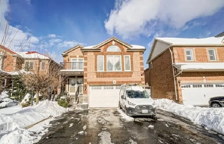 4 Bedroom Basement house Brampton - Bovaird & Chinguaco