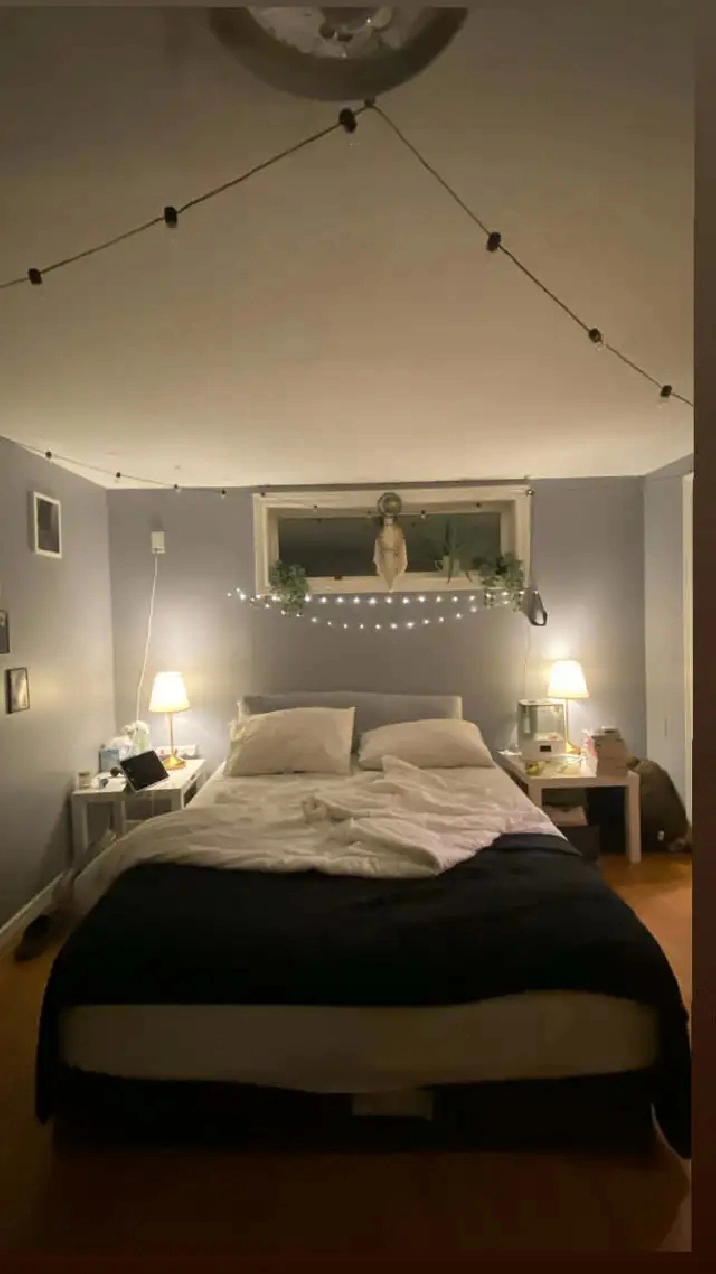 2 Bedroom   Den Basement Apartment - Peterborough West End