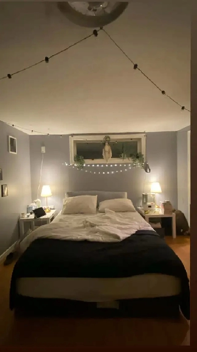 2 Bedroom   Den Basement Apartment - Peterborough West End