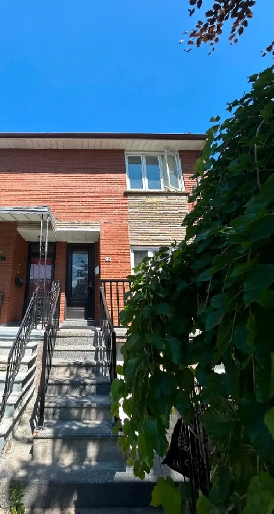 Downtown! Very bright! really spacious! one bedroom unit rent