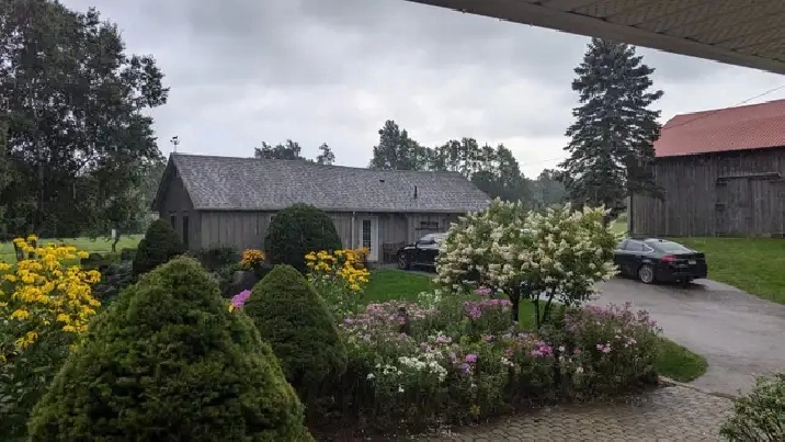 Furnished studio apartment on beautiful, private estate