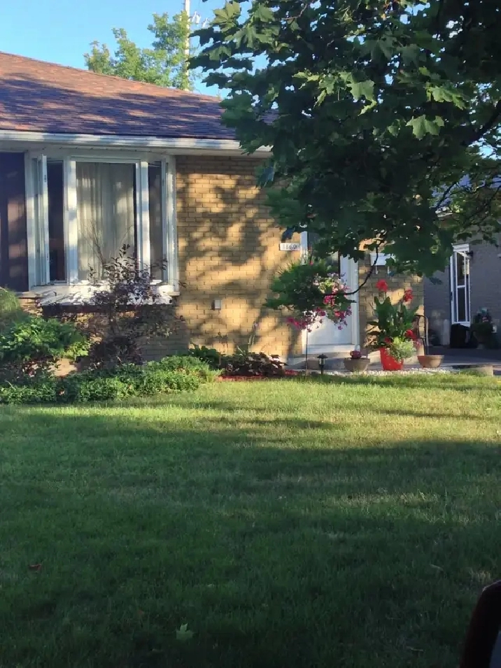 McKellar Park Westboro Apartment for Rent