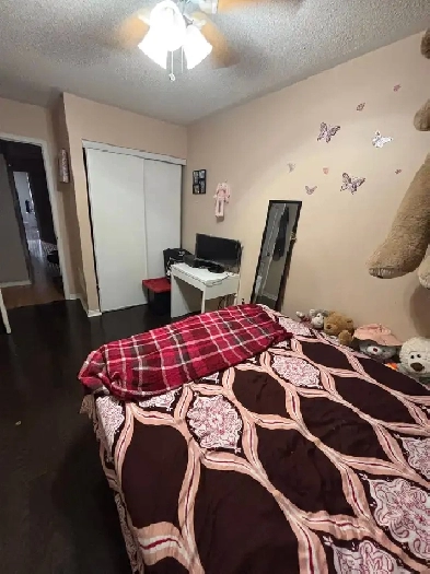 room for rent