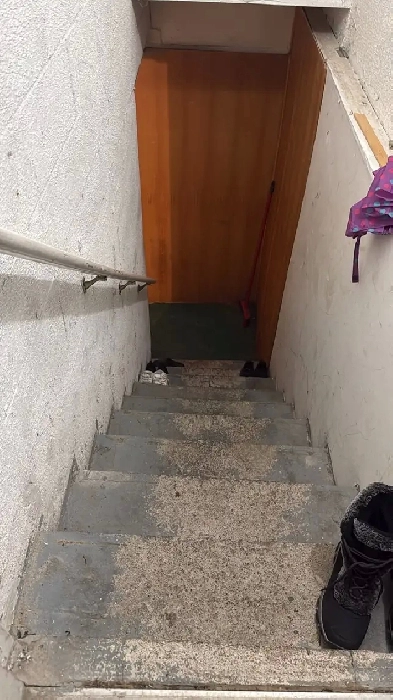 one room in basement for female near heartland