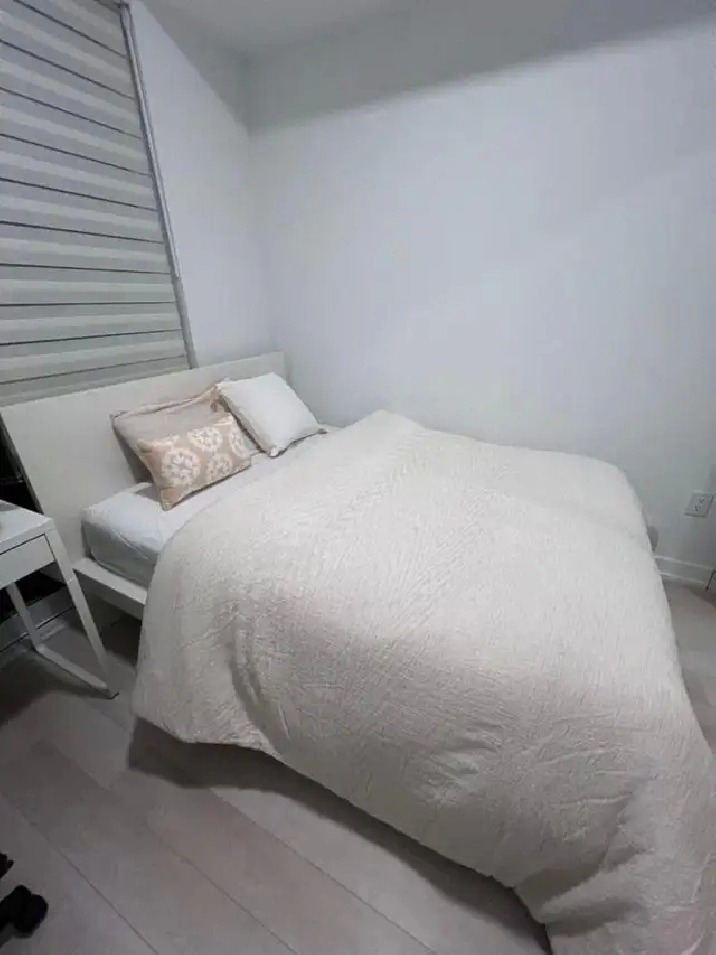1b1b Sublet Toronto