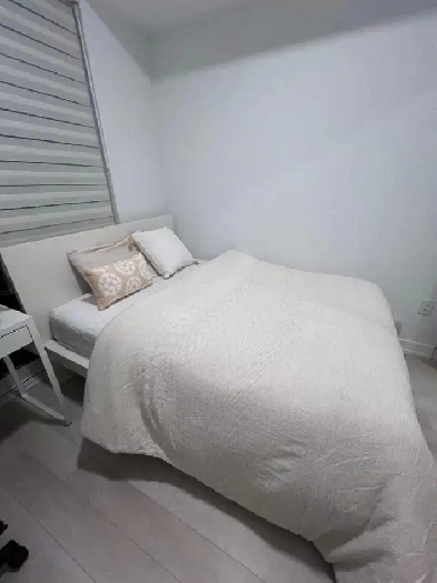 1b1b Sublet Toronto