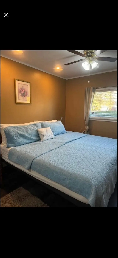 basement for rent
