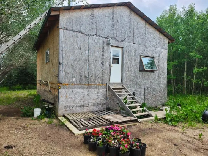 Photo 8