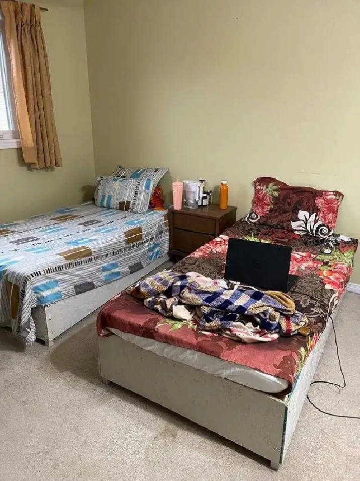 Single Room for Girls for Rent August 1st, 2026