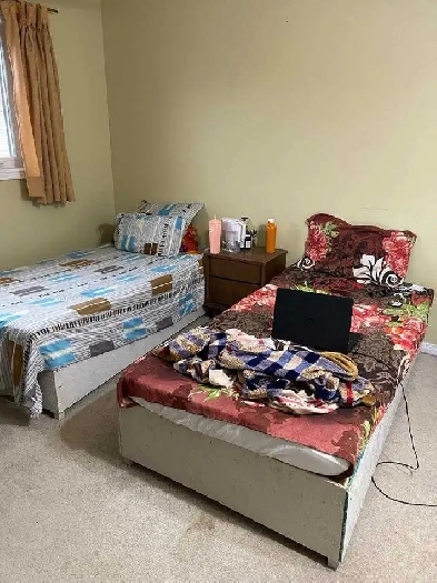 Single Room for Girls for Rent August 1st, 2026