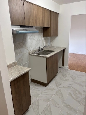 Boucherville, grand 5 1/2 tout rénové, libre 1er aout $1680/mois