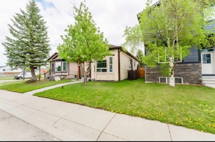 Beautiful Lower-Level suite:2 Rooms  Living  2 Car parking in NE