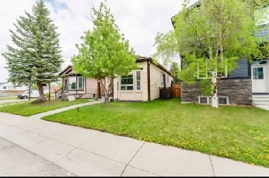 Beautiful Lower-Level suite:2 Rooms  Living  2 Car parking in NE