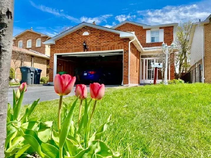 golden opportunity - 1 BR basement 4 rent (price of a single roo