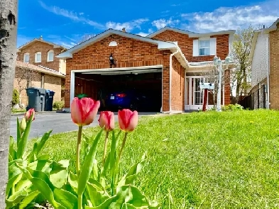 golden opportunity - 1 BR basement 4 rent (price of a single roo