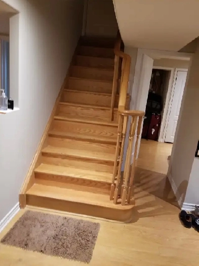 2 Bedroom furnished basement