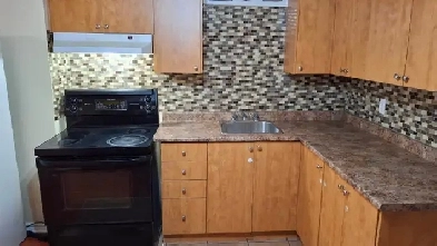 Large 3 (Three) bedroom basement unit for Rent