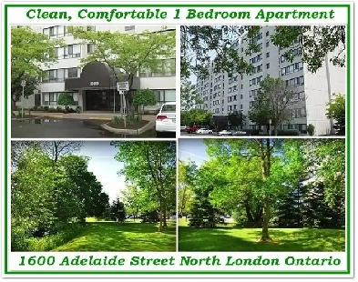 Bright Clean 1 Bedroom Apartment Available at 1600 Adelaide