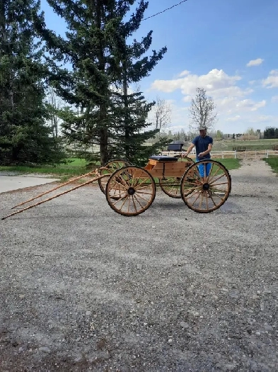 LOOKING TO LEASE ACREAGE.  Hall of Fame Horseman , semi-retired,