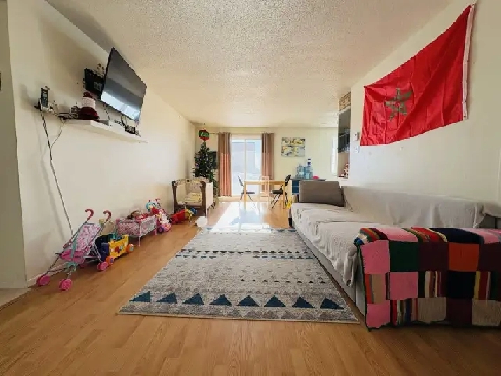 Appartement 4 ½ à louer Sainte-Foy / Sillery juillet 2026