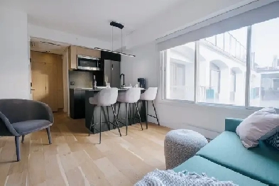 Loft entièrement meublé à louer Saint-Jean-Baptiste juillet 2026