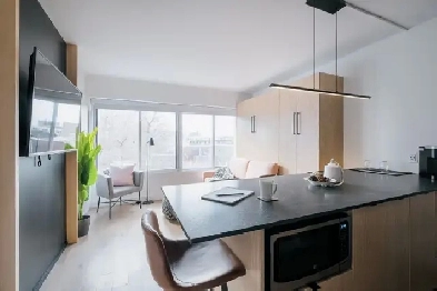 Loft entièrement meublé à louer Saint-Jean-Baptiste août 2026