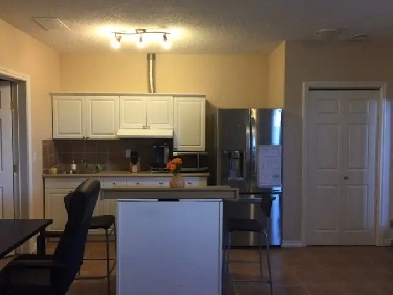 Beautiful Walking out Basement $1250