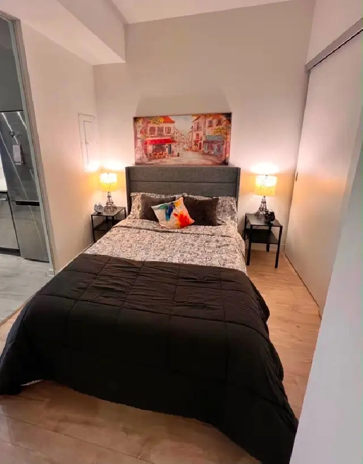Room for Rent in Downtown Toronto Condo