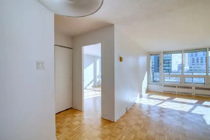 one-bedroom apartment near Guy-Concordia - ID 1388
