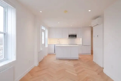 renovated 3 bedroom apartment for rent in Outremont - ID 4624