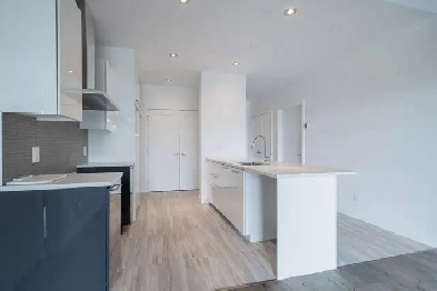 Magnifique 3 1/2 à louer aux condos locatifs L'Altitude