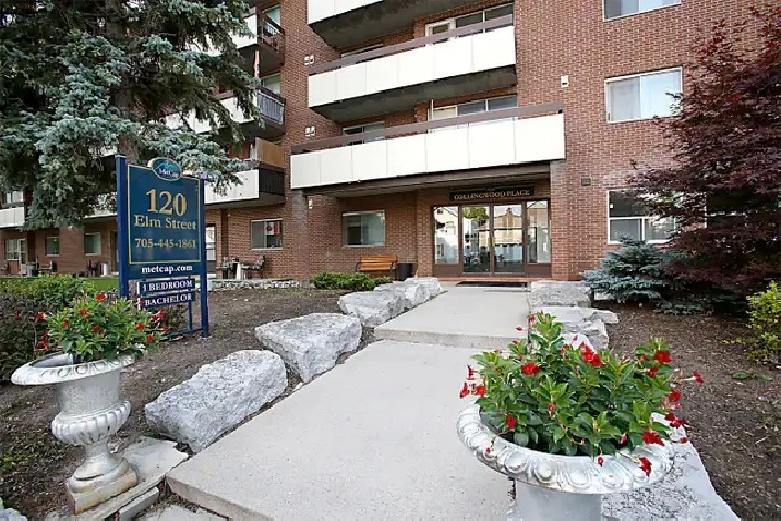 Collingwood 1 Bedroom Apartment for Rent - 120 Elm Street