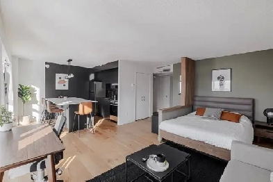 Loft entièrement meublé à louer Saint-Jean-Baptiste juillet 2026