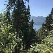 Shuswap lake lot