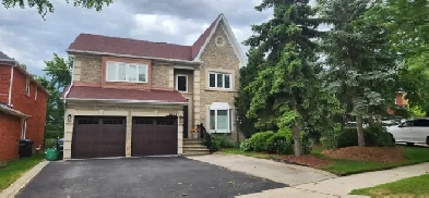1 BEDROOM BASEMENT APARTMENT   1 DEN (ERIN MILLS)
