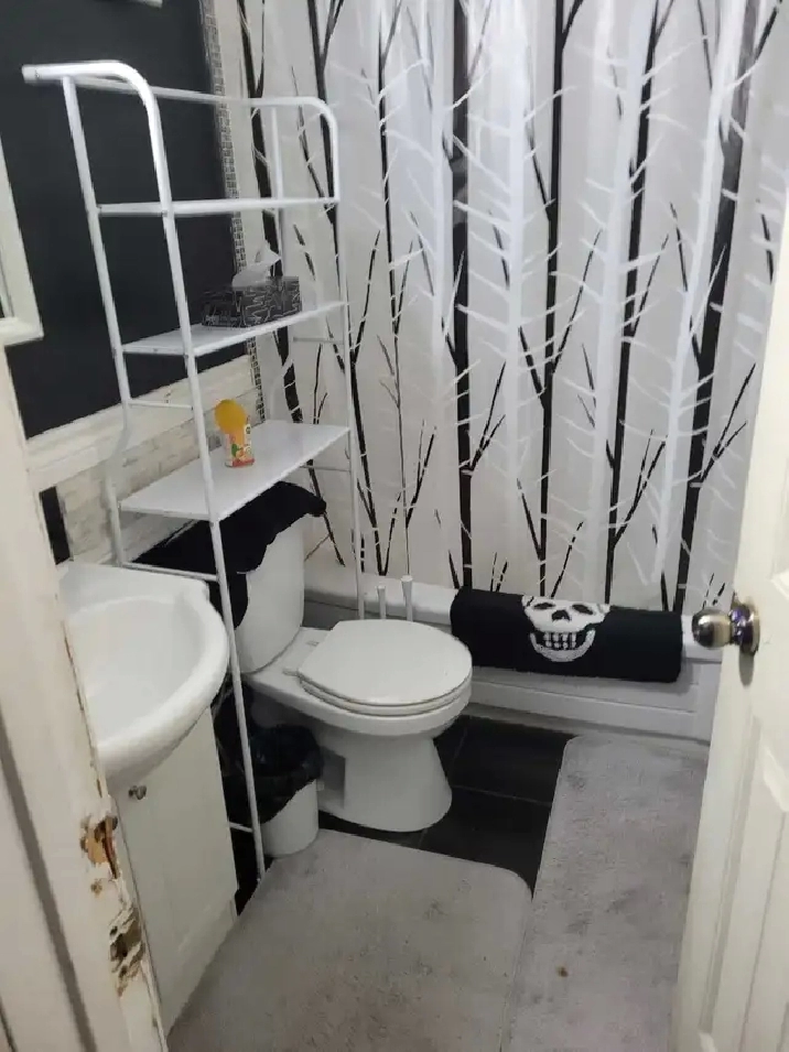 Room for Rent