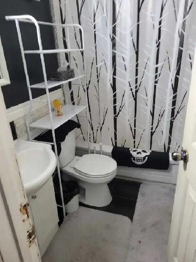 Room for Rent