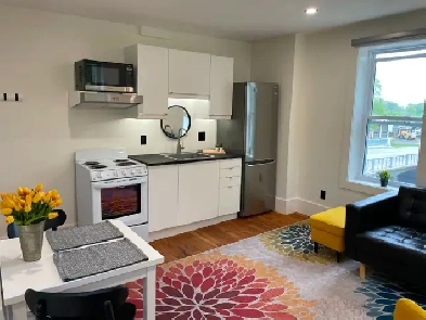 Newly Renovated 1-Bedroom with River Views | Cargill | Sept 1