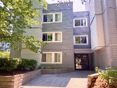 915 sq ft Condo near Lougheed Skytrain $475,000