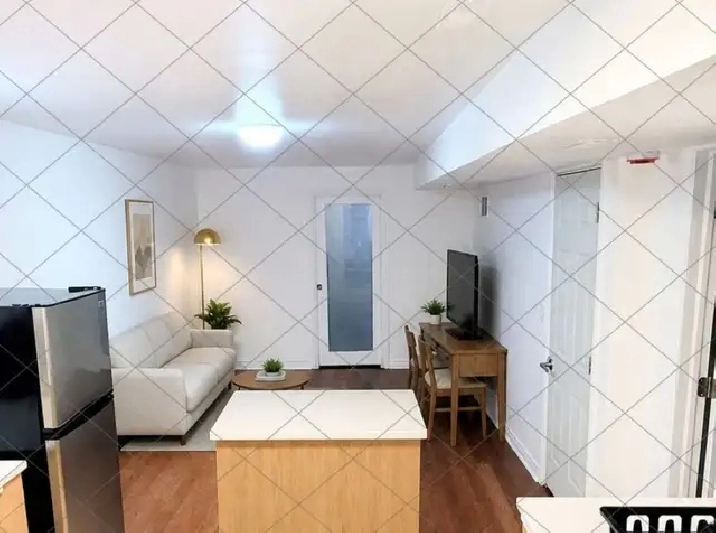 Renovated Bright 1 Bedroom Suite | Private Entrance | Vaughan