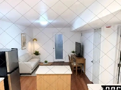 Renovated Bright 1 Bedroom Suite | Private Entrance | Vaughan