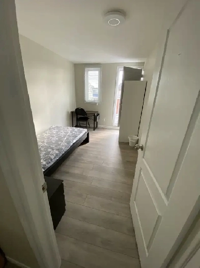 York University village rooms from rent
