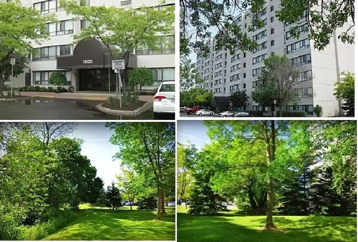 Bright Clean 1 Bedroom Apartment Available at 1600 Adelaide