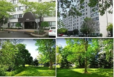 Bright Clean 1 Bedroom Apartment Available at 1600 Adelaide