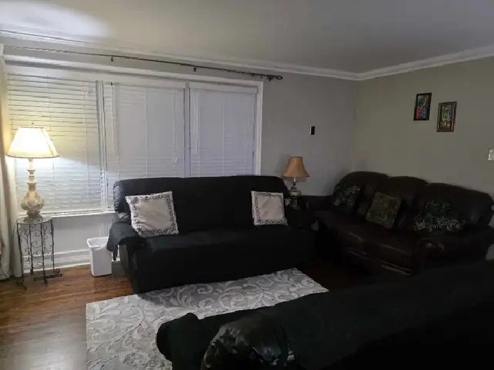 sharing room for rent
