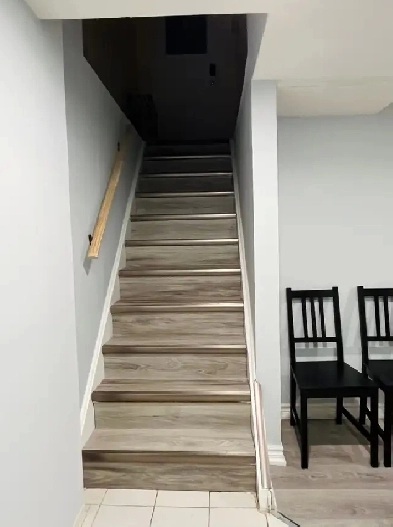 cosy furnished basement rooom near UTM for female to rent in Sep