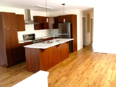 Beautiful 2 Bedroom in lower unit in bi-level