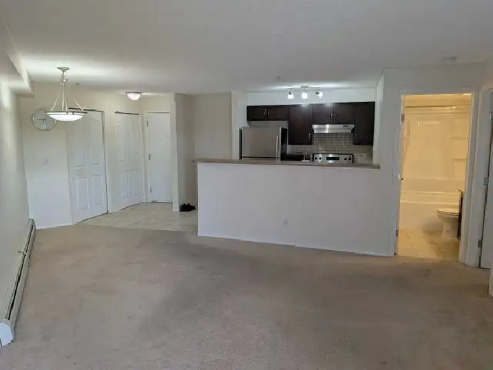 Spotless 1-Bed 1-Bath Condo Apartment in Evergreen