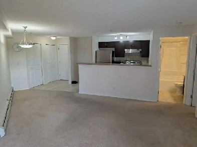 Spotless 1-Bed 1-Bath Condo Apartment in Evergreen